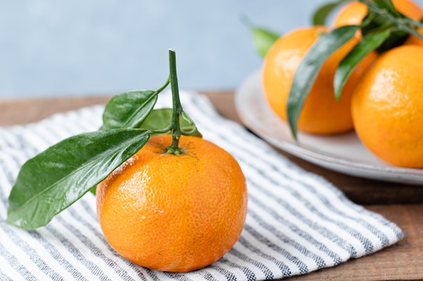 Meteorin-like protein inhibits vascular smooth muscle cell-derived foam cell formation and atherosclerosis via KIT-endoplasmic reticulum stress signaling