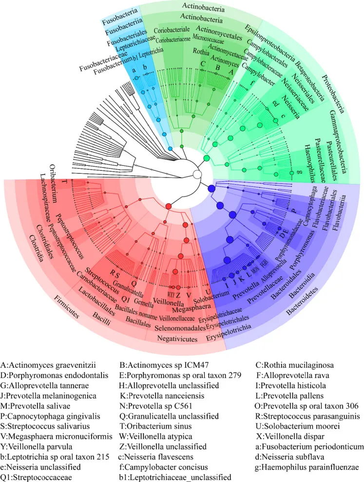 Species composition and overall diversity are significantly correlated between the tongue coating and gastric fluid microbiomes in gastritis patients
